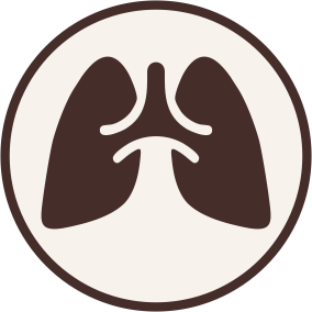 Atmungssystem